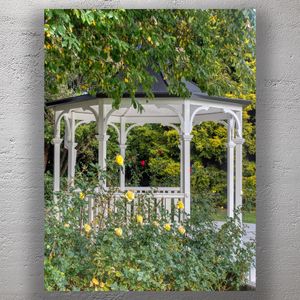 Charming White Gazebo Surrounded by Yellow Roses in a Lush Garden Photo Download