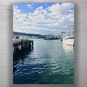 Scenic Wellington Harbour Waterfront Boats Piers and Coastal Views Photo Download