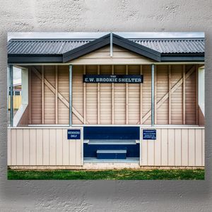 E.W. Brookie Shelter at Palmerston North Boys High School Vintage Grandstand Photo Download
