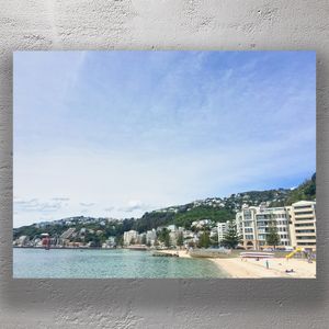 Scenic View of Oriental Bay Wellington Stunning Beachfront and Hillside Homes Photo Download