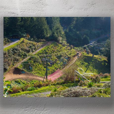 Rotorua Skyline Gondola and Mountain Biking Trails in Scenic Forest Landscape Photo Download