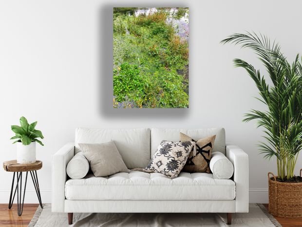 Lush Green Wetlands Vibrant Aquatic Plant Life and Natural Beauty Photo Download