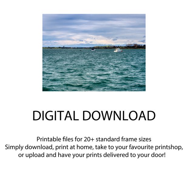 Boats Anchored in Tauranga Harbour New Zealand Coastal Landscape Photography Photo Download