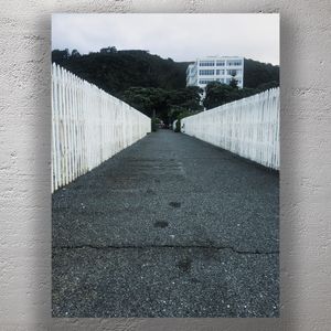 White Fence Pathway at Rona Bay Wharf Eastbourne Photo Download