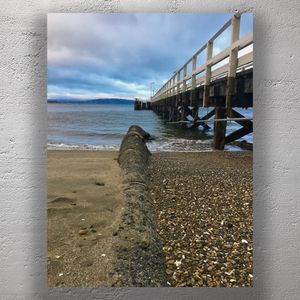 Wooden Pier at Days Bay Wellington Coastal View with Rocky Shoreline Photo Download
