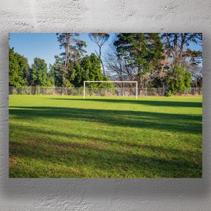 Empty Soccer Goal on Green Field with Forest Background Photo Download