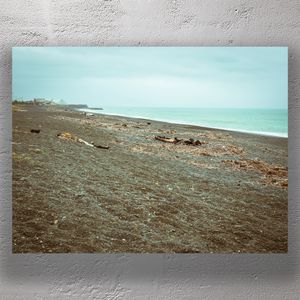 Dramatic Driftwood on Napiers Black Sand Beach Coastal New Zealand Landscape Photo Download