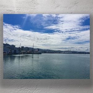 Wellington Waterfront Harbour View Scenic Skyline and Port in New Zealand Photo Download