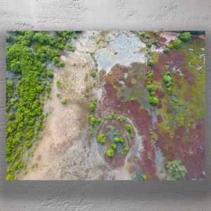 Aerial View of Vibrant Coastal Wetlands and Mangroves Colorful Marshland Landscape Photo Download