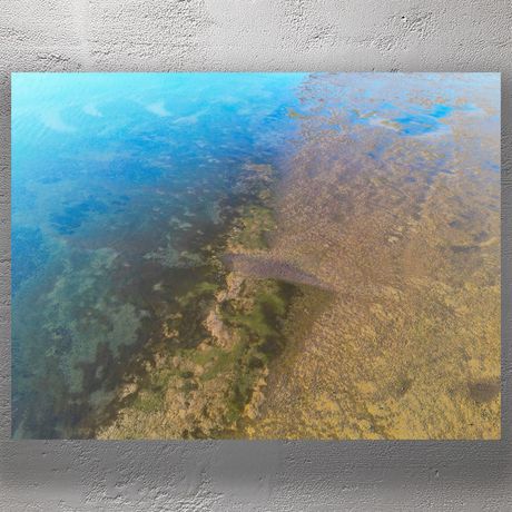 Aerial View of Coastal Shallows Stunning Natural Patterns and Sea Colors Photo Download