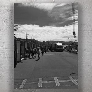 Wellington Waterfront Market Scene in Black and White Photo Download