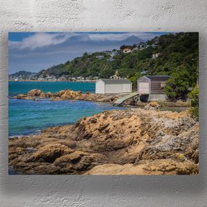Scenic Coastal Boat Sheds in Scorching Bay Wellington New Zealand Seaside Landscape Photo Download