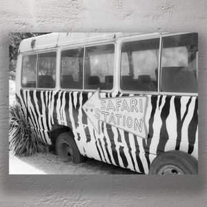 Safari Bus with Zebra Stripes Vintage Wildlife Tour Vehicle Photo Download