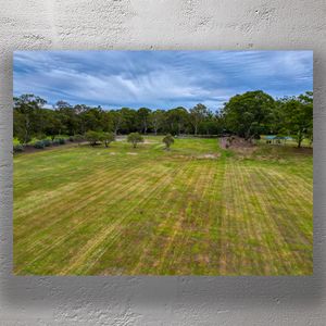 Scenic Parkland with Lush Green Grass and Majestic Trees Under a Cloudy Sky Photo Download