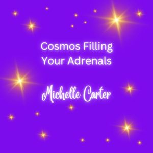 Cosmos Filling Your Adrenals &amp; Nervous System