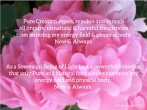 Free Audio - Pure Intentions - Harmful Frequencies