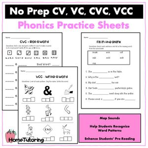 No Prep CV-VC-CVC-VCC Practice Sheets