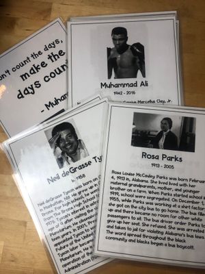 Black Figures in History Poster Sets - 30 Inspirational Posters with Biographies &amp; Quotes