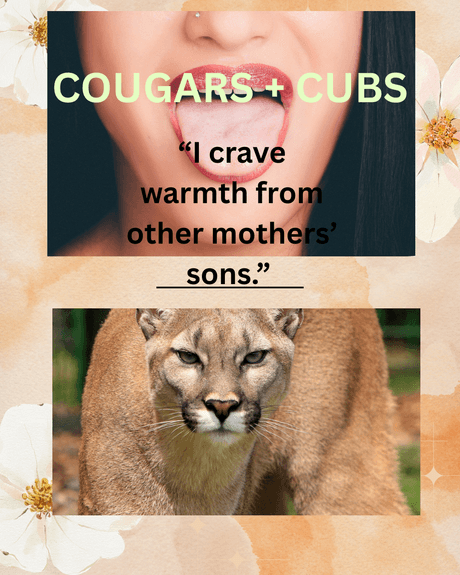 Cougars &amp; Cubs