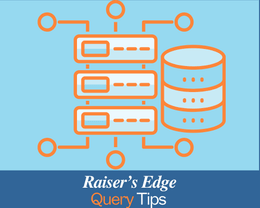 Raiser&#x27;s Edge Query Tips