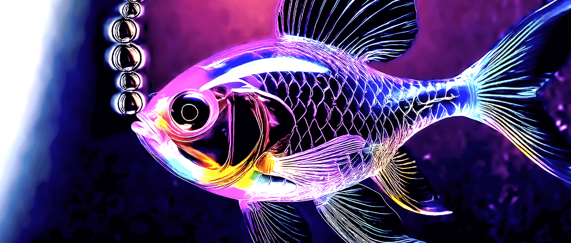 SPRING TIDE - ORIGINAL