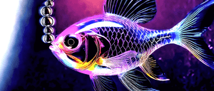 SPRING TIDE - ORIGINAL