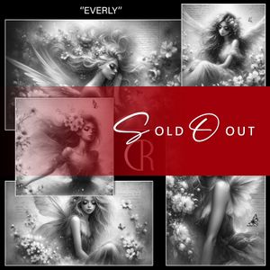 RC 🟣 EVERLY-BUNDLE