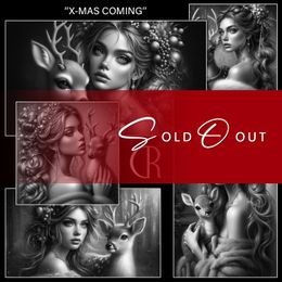 RC 🟣 X-MAS-COMING-BUNDLE