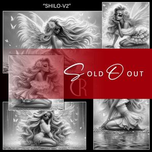RC 🟣 SHILO-V2-BUNDLE