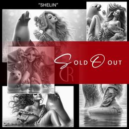 RC 🟣 SHELIN-BUNDLE