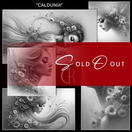 RC 🟣 CALDUNIA-BUNDLE