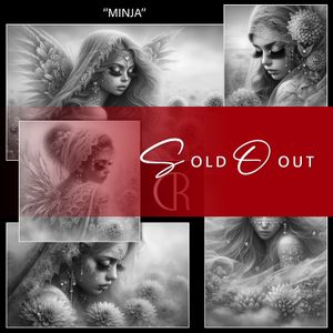 RC 🟣 MINJA-BUNDLE