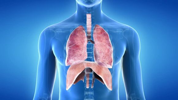 IMMUNITÉ ET INFECTIONS PULMONAIRES ET RESPIRATOIRES