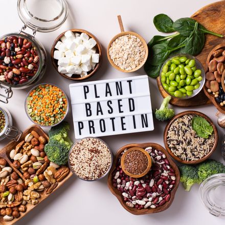 Plant-Based Protein Substitutes: A Comprehensive Guide