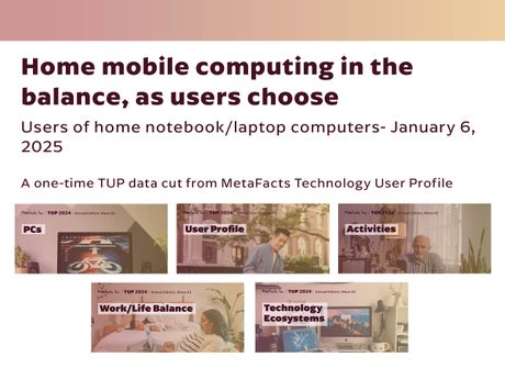Users of home notebook computers - a one-time TUP data cut