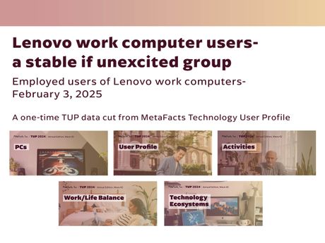 Lenovo work computer users-a stable if unexcited group - a one-time TUP data cut