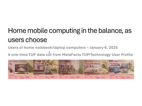 Users of home notebook computers - a one-time TUP data cut