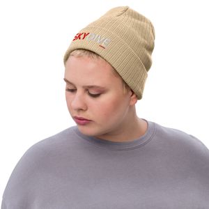 iSkydive America Ribbed Knit Beanie