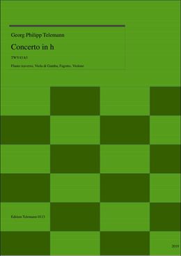 0113 Concerto in h, TWV43:h3