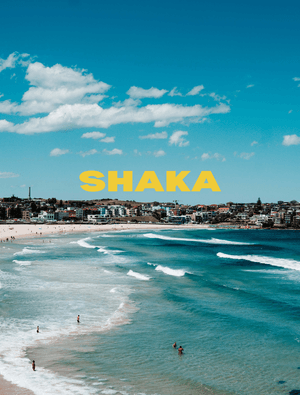 Shaka Lightroom Preset