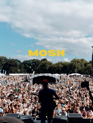 MOSH Lightroom Preset