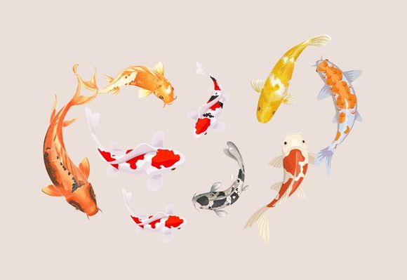 “Koi Harmony” – Zen-Inspired Koi Fish Printable Art