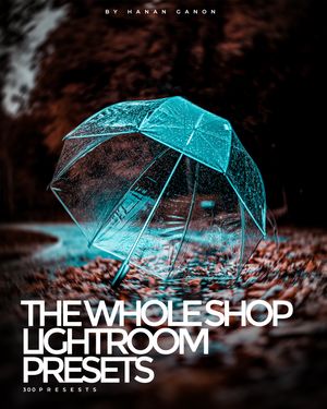 THE WHOLE SHOP By Hanan Ganon