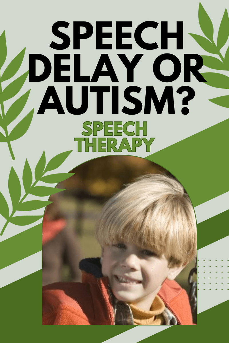 64  Speech Delay or Autism?