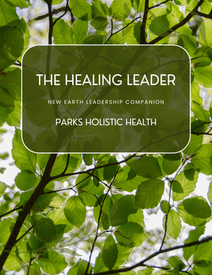 Healing Leaders Guide 