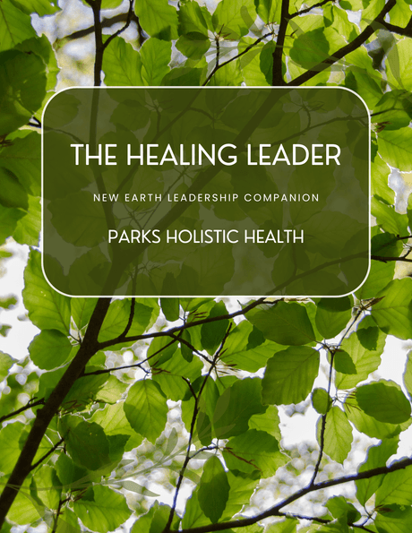 Healing Leaders Guide 