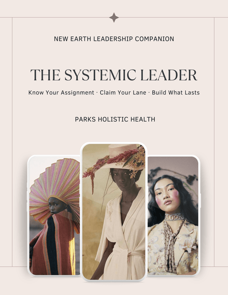 Systemic Leader Guide 