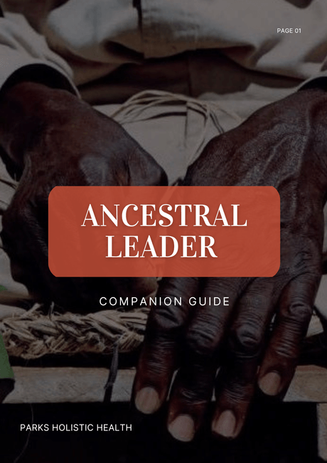 New Earth Leadership : Ancestral Leader's Guide 