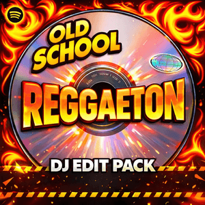 Classic Reggaeton DJ Edit Pack - 180 Tracks