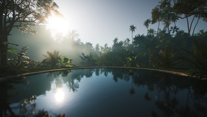 Infinity pool in jungle. Sunrise in tropical jungle